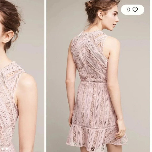 Anthropologie Greylin - Emilia Lace Mini Dress - Chalk Rose - Size Small - Picture 3 of 14